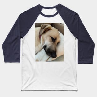 Anatolian Shepheard resting Baseball T-Shirt